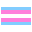 Trans pride